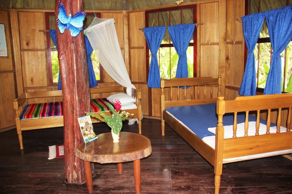 Sun Creek Lodge Punta Gorda Room photo