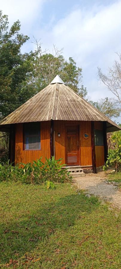 Sun Creek Lodge Punta Gorda Exterior photo