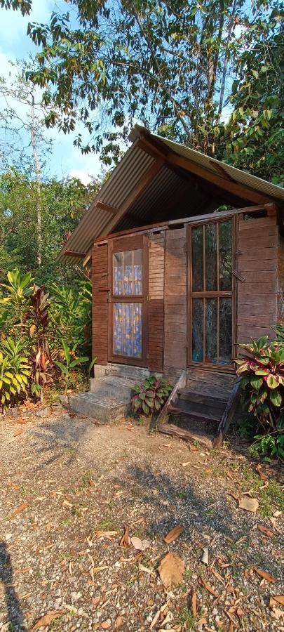 Sun Creek Lodge Punta Gorda Exterior photo