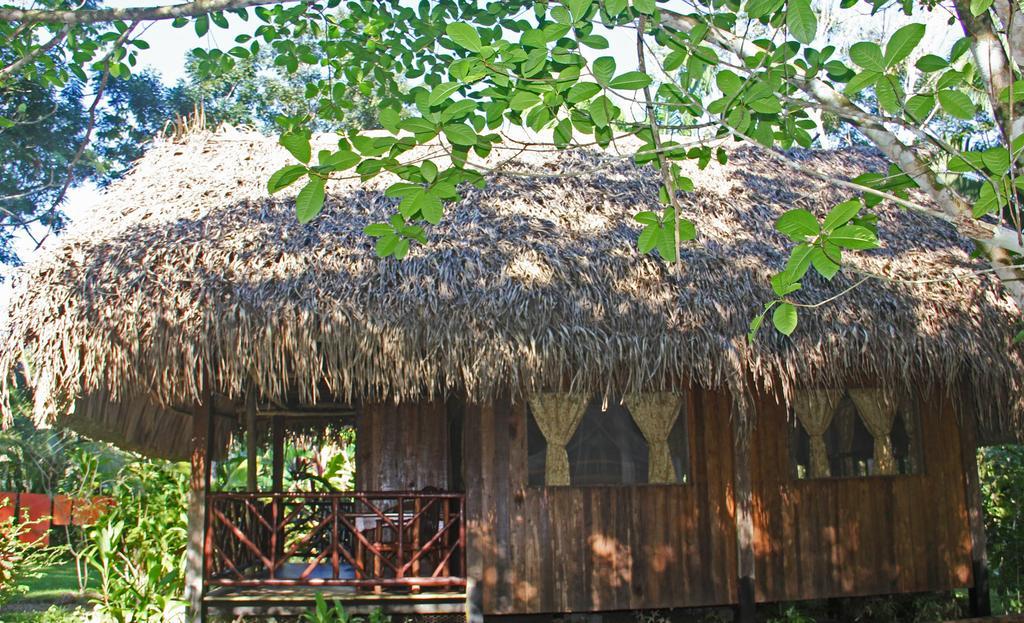 Sun Creek Lodge Punta Gorda Room photo